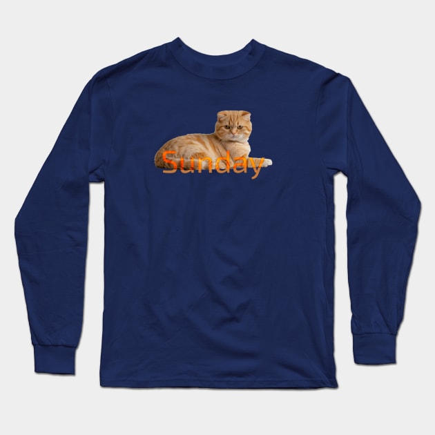 Sunday cat!. Don´t bother me please. Long Sleeve T-Shirt by Cavaleyn Designs